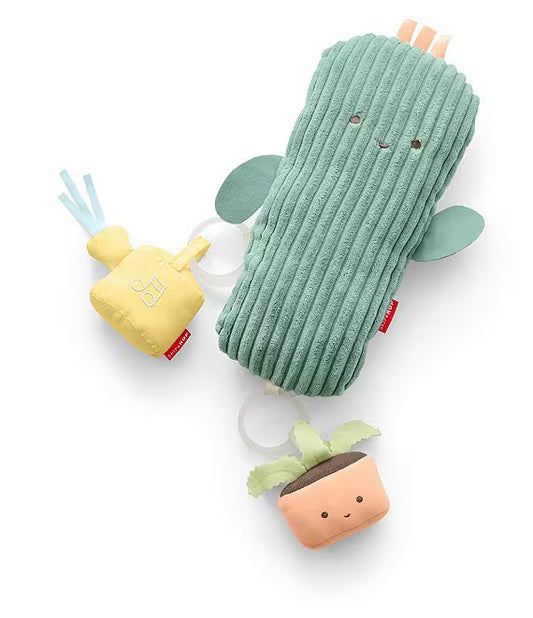 Skip Hop Garden Oasis Activity Gym Multi Color