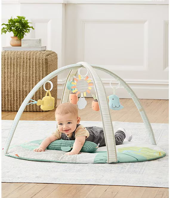 Skip Hop Garden Oasis Activity Gym Multi Color