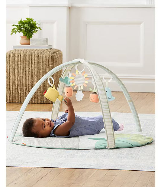 Skip Hop Garden Oasis Activity Gym Multi Color