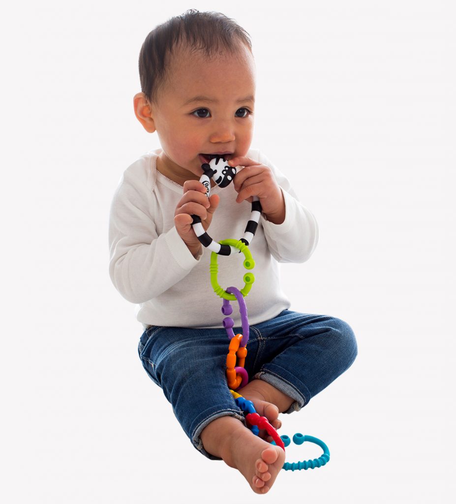 Playgro Zebra Links