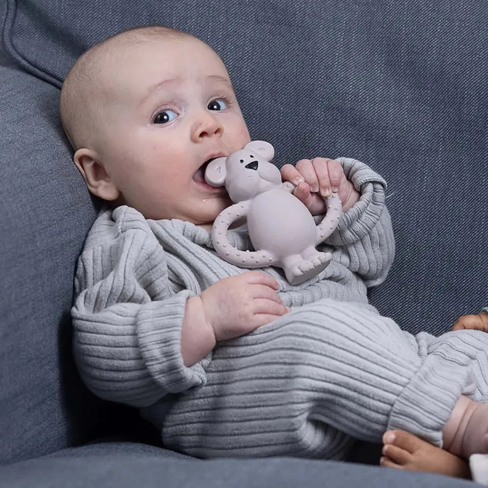 Pippeta Albert Bear Natural Rubber Teether