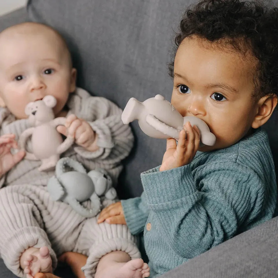 Pippeta Albert Bear Natural Rubber Teether