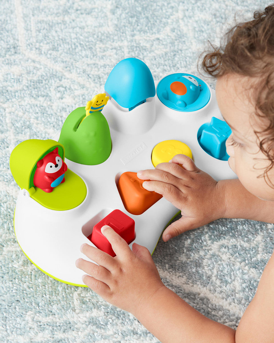 Skip Hop Explore & More Pop & Play