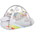 Skip Hop Silver Lining Cloud Activity Gym