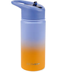Skip Hop Wander Stainless Steel Straw Bottle