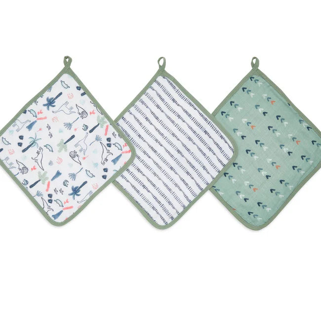 Aden + Anais 3-Pack Washcloth Sets - Dinotime