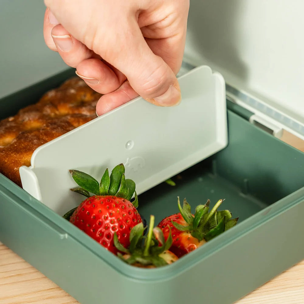 Done By Deer Lunch Box with Divider