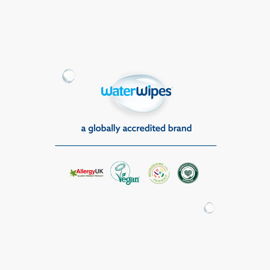 Water Wipes Wet Wipes 60's