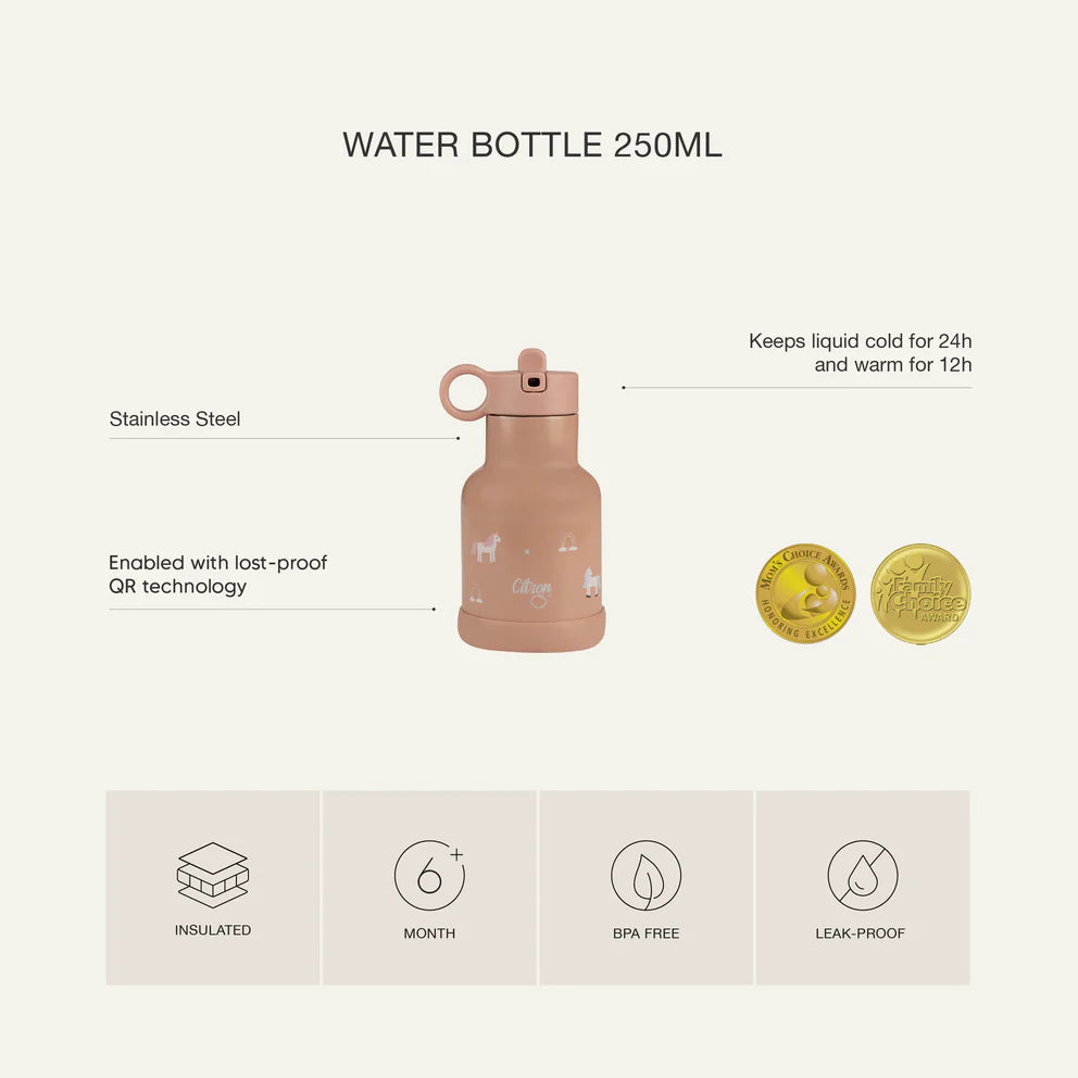 Citron Stainless Steel Insulated Water Bottle Kids 250ml