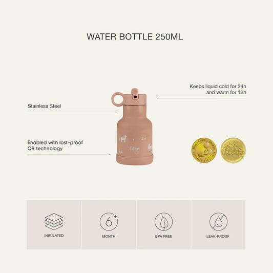 Citron Stainless Steel Insulated Water Bottle Kids 250ml
