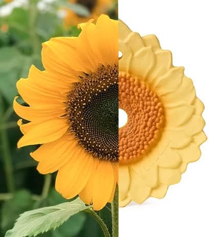 Oli & Carol Sun The Sunflower