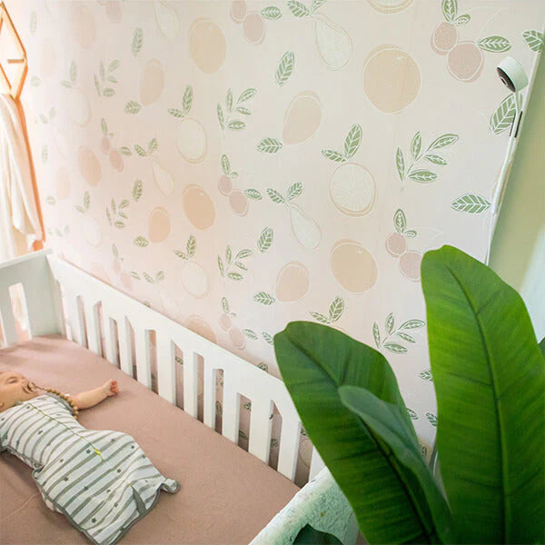 Bblüv Viyü Wifi Baby Monitor