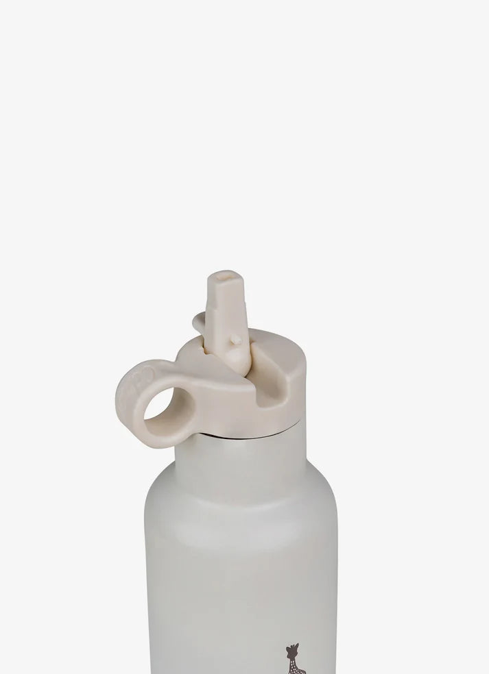 Citron Stainless Steel Water Bottle 500ml