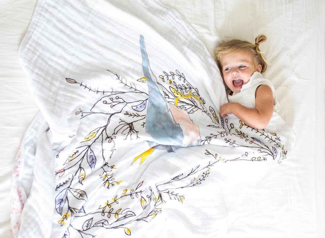 Aden + Anais Classic Dream Blanket Birdsong Noble Nest