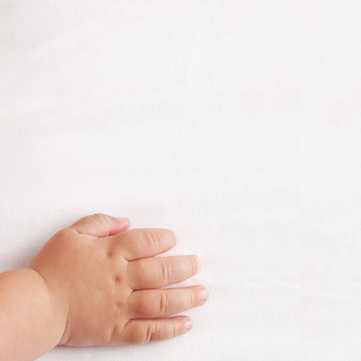 Little Green Sheep Fitted Sheet for Stokke & Leander Cot