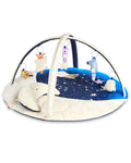 Skip Hop Celestial Dreams Activity Gym Multi Color