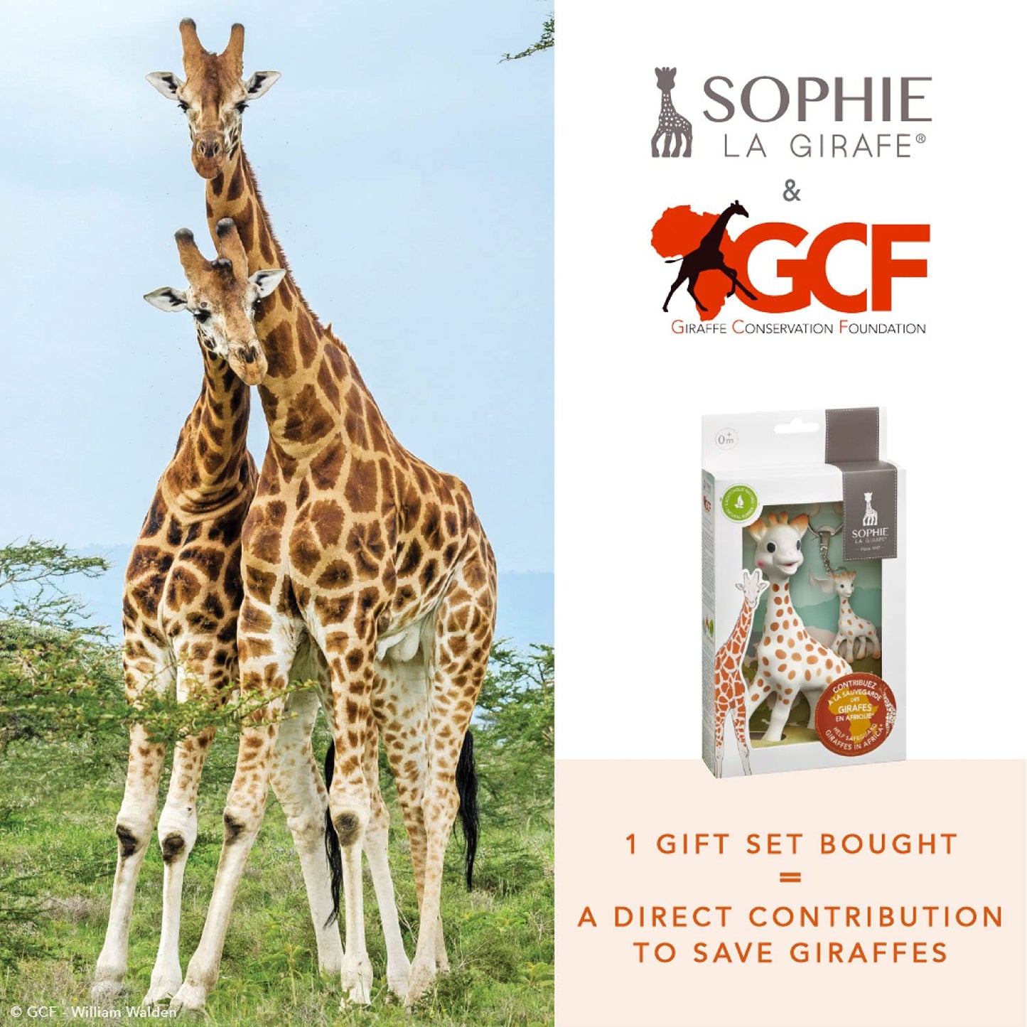 Sophie La Girafe Il Etait Une Fois Sophie La Girafe + Keychain Multi color