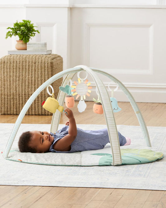 Skip Hop Garden Oasis Activity Gym Multi Color