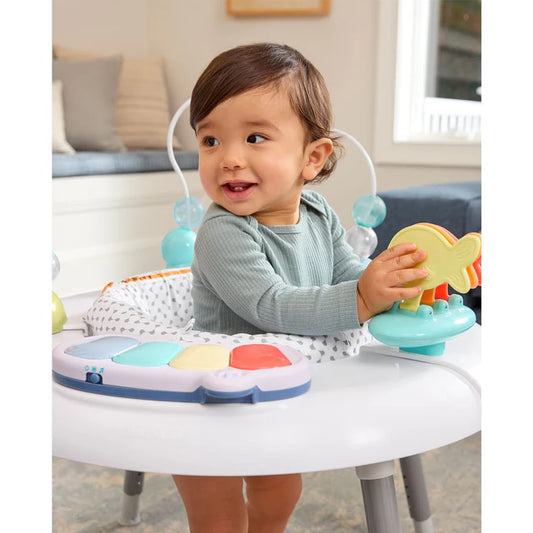 Skip Hop Seascape Activity Center Multi Color