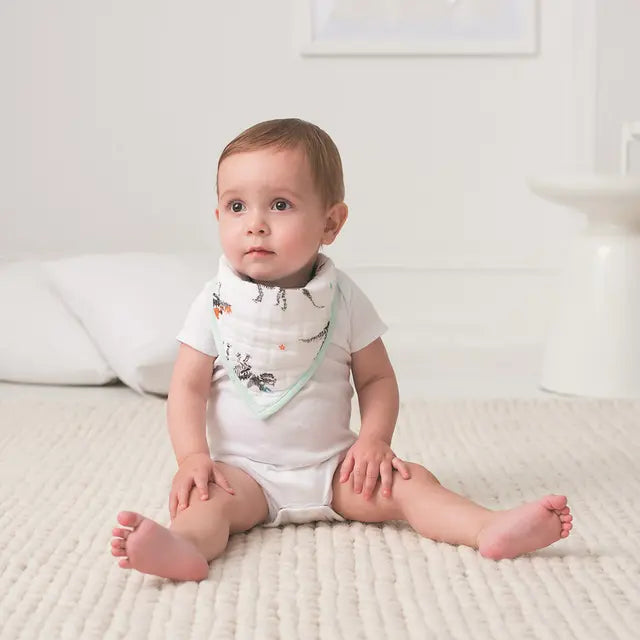 Aden + Anais Classic Bandana Bib Color Pop