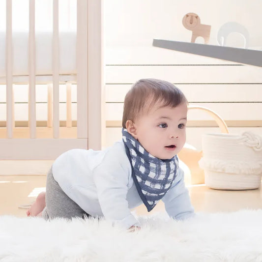 Aden + Anais Classic Bandana Bib Waverly Plaid