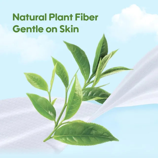 Aiwibi Aloe Vera Fresh Organic Care Wet Wipes - Fragrance Free 84s
