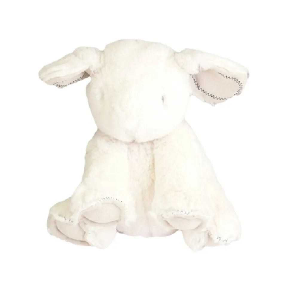 Barefoot Dreams Cuddle Buddie