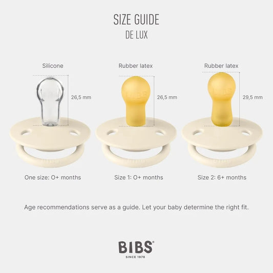 Bibs Pacifier De Lux Pacifiers  Pack of 2 - Iron/Baby Blue - OneSize