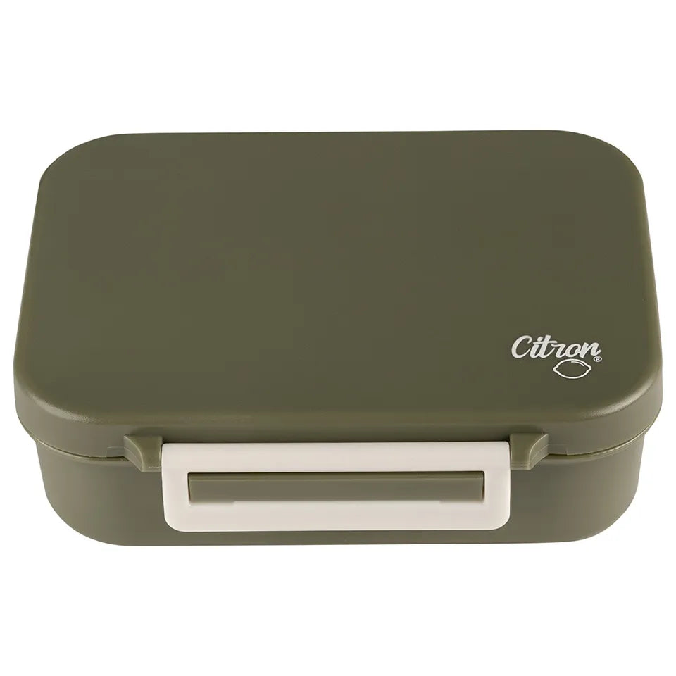 Citron Tritan Snackbox