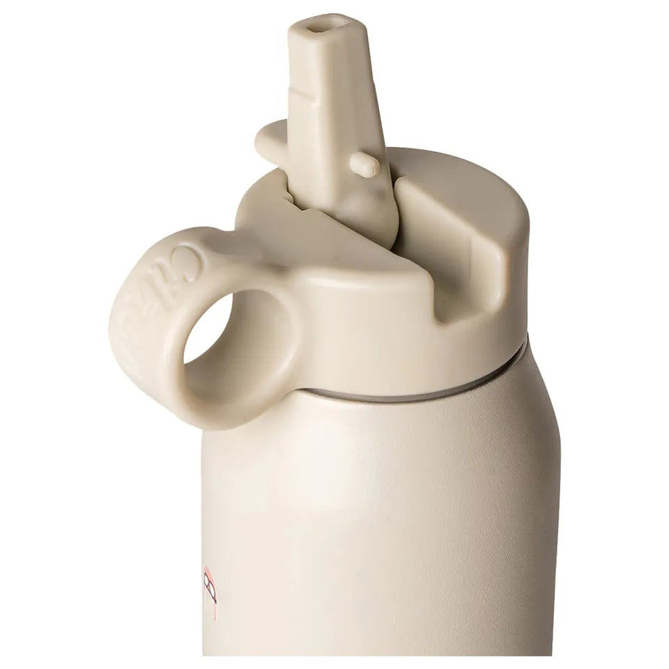 Citron Stainless Steel Water Bottle 500ml Vehicles