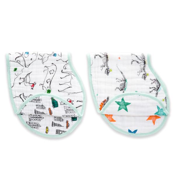 Aden + Anais Silky Soft Burpy Bib Color Pop Jurassic