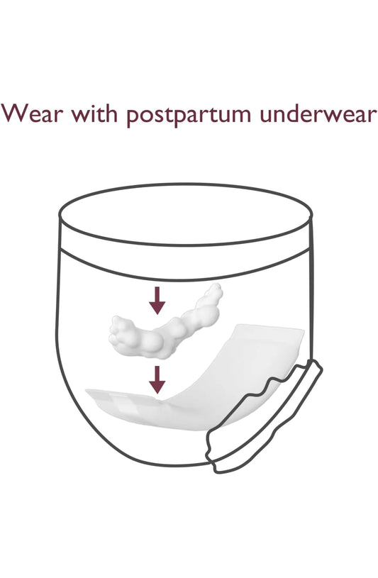 Momcozy Postpartum Disposable Underwear  1 Pack (6pcs)