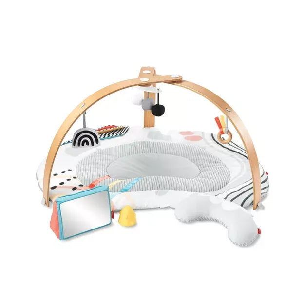 Skip Hop Discoverosity Play Gym (Multi Color)