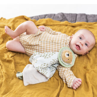 Taf Toys Harry Lion Blankie