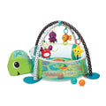 Infantino Grow-With-Me Activity Gym & Ball Pit | 0M+