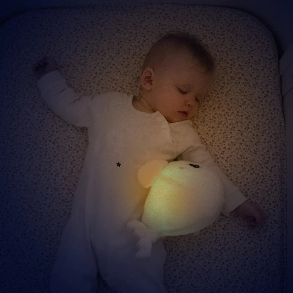 Pabobo Beluga Nighlight White