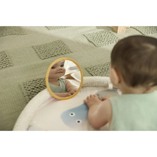 Skip Hop Painted Dreams Play  Gym Multi Color
