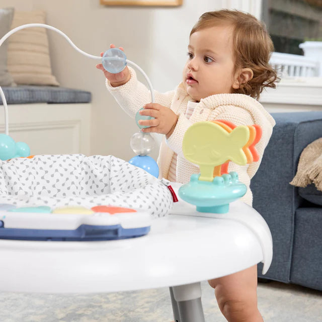 Skip Hop Seascape Activity Center Multi Color
