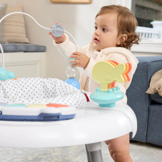 Skip Hop Seascape Activity Center Multi Color