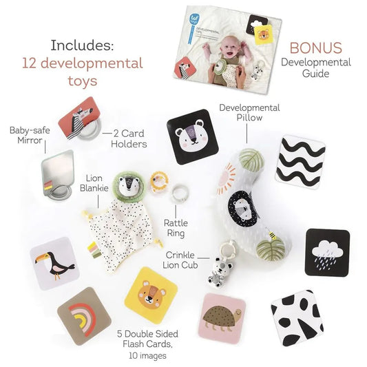 Taf Toys Hello Baby Newborn Developmental Toy Kit - 12 Pcs