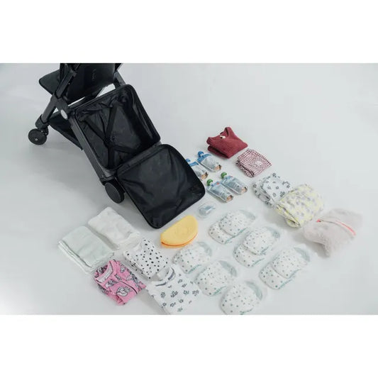 Ternx Carry On Luggage Stroller