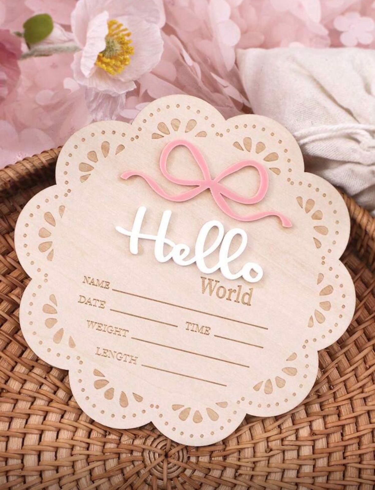 Hello World Photography Props