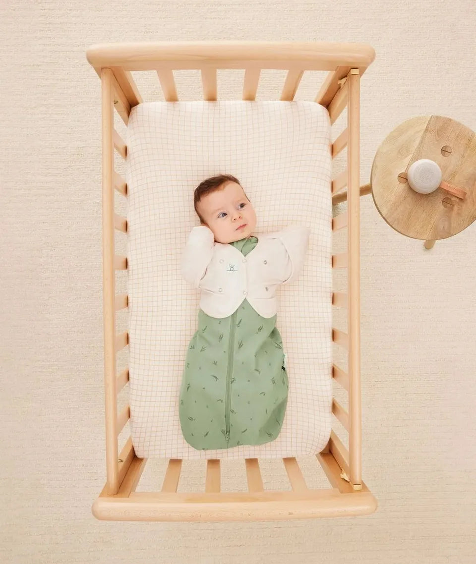 ErgoPouch Willow Newborn Sleep Starter Pack