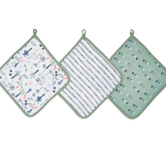 Aden + Anais 3-Pack Washcloth Sets - Dinotime